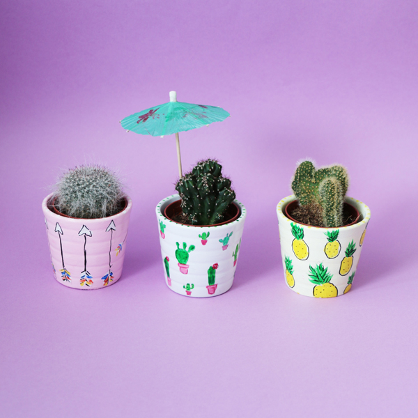 Des motifs pour mes&nbsp;Cactus