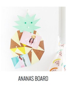 ananas-board-3